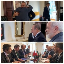 ملاقات ظریف با  چاووش اوغلو