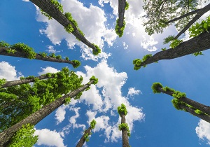پیش بینی بارش پراکنده باران در خوزستان