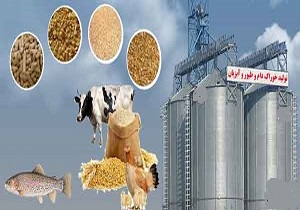 تولید خوراک دام و طیور در مراکز پرورش ممنوع است