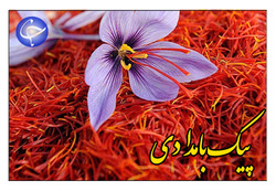 امتیاز معافیت مالیاتی، در اختیار شرکت‌هایی که گردش مالی چند هزار میلیاردی دارند! + صوت