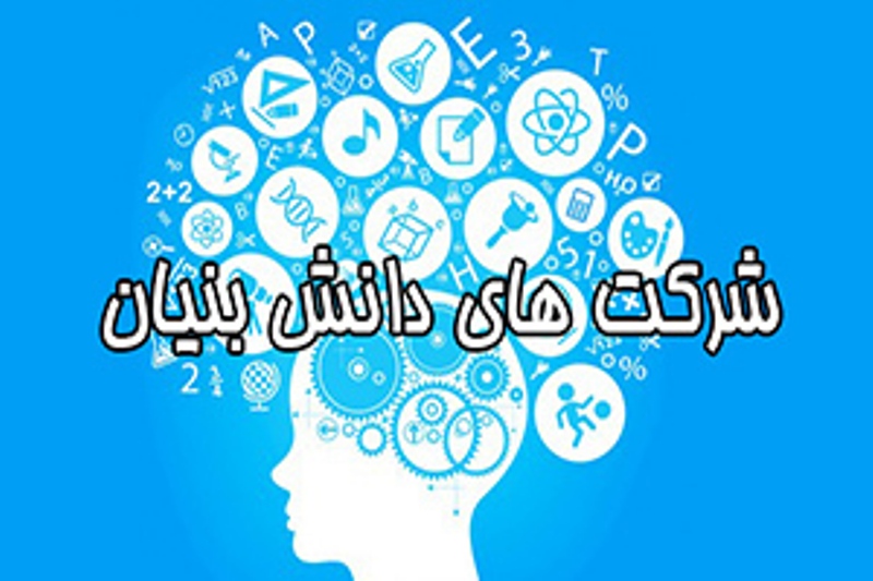 &zwnj;نمی&zwnj;توان با ارز ۴۲۰۰ تومانی از شرکت&zwnj;های دانش بنیان حمایت کرد