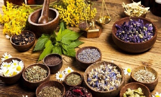 همدان گنجینیه گیاهان دارویی و مهد طب سنتی