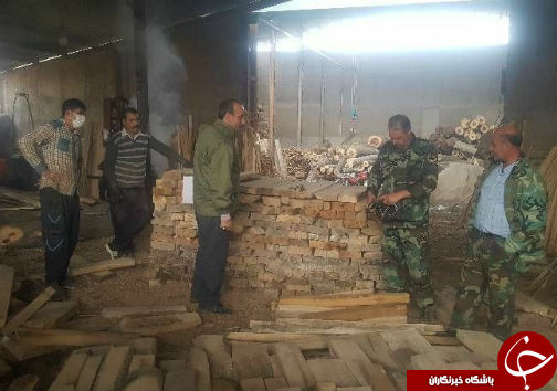 کشف چوب&zwnj;های قاچاق در گلستان