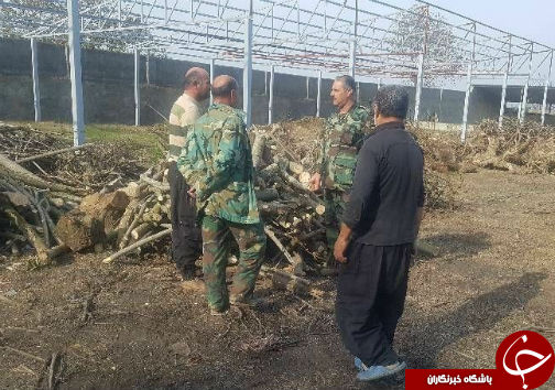 کشف چوب&zwnj;های قاچاق در گلستان