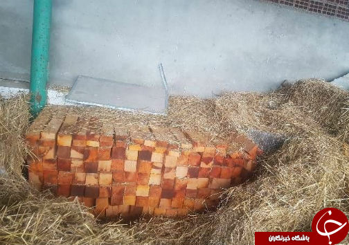 کشف چوب&zwnj;های قاچاق در گلستان