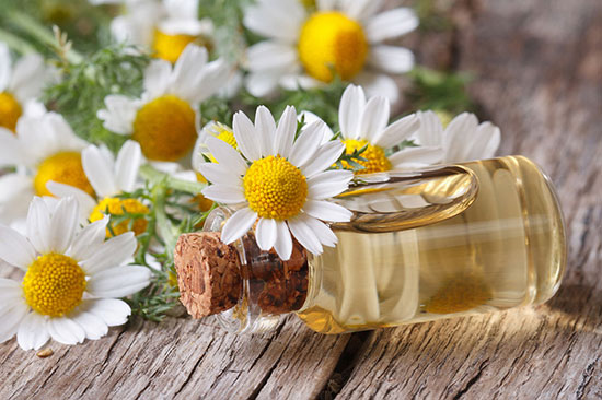 همدان گنجینیه گیاهان دارویی و مهد طب سنتی