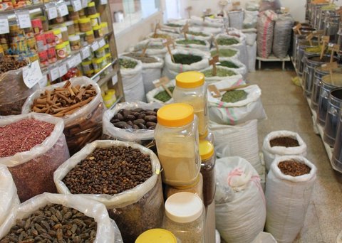 همدان گنجینیه گیاهان دارویی و مهد طب سنتی