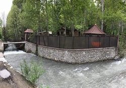 عجیب‌ترین درختان جهان که شاید تاکنون آنها را ندیده باشید + فتوکلیپ