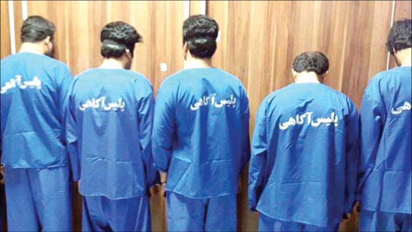 نورافکنی در لانه مخوف « خفاش های طلایی »! نورافکنی در لانه مخوف « خفاش های طلایی »!