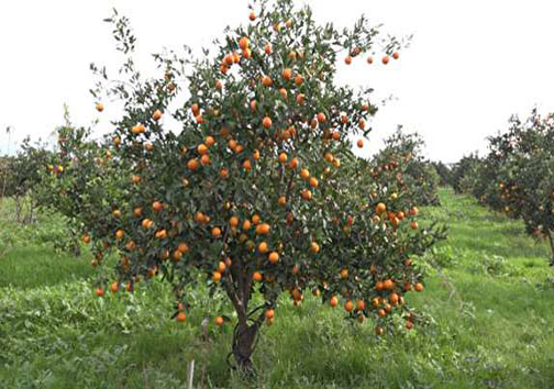 نگاهی گذرا به مهمترین رویداد&zwnj;های جمعه یکم آذر ماه در مازندران