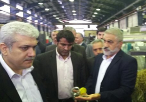 حضور معاون علمی رئیس جمهور در شرکت‌های دانش بنیان مازندران