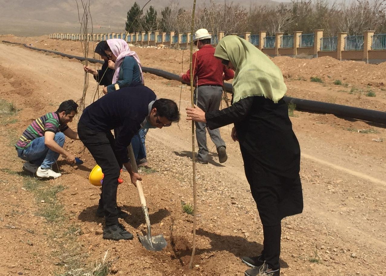 نهالکاری ۲هزار هکتار از اراضی بیابانی شهرستان دهلران