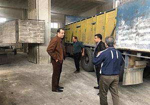 بازدید مدیر کل غله از انبار آرد قائمشهر