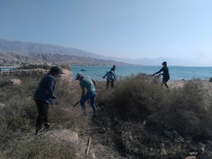 محیط برخی آثار تاریخی بندر سیراف پاکسازی شد