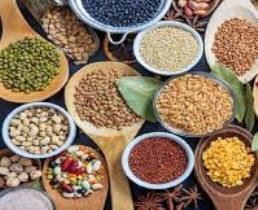 راه اندازی نخستین واحد تحقیقات بیماری حبوبات کشور در مراغه