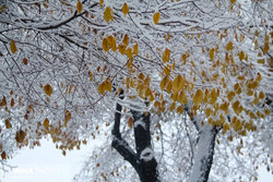 خروج سامانه بارشی و پایان بارندگی در زنجان