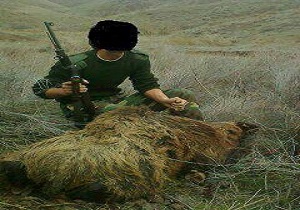غارتگر طبیعت در دام محیط بانان الموت شرقی