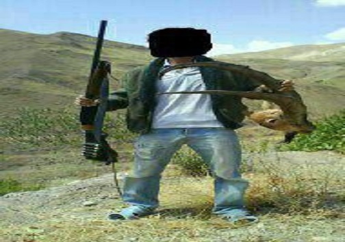 غارتگر طبیعت در دام محیط بانان الموت شرقی