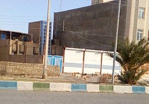 پرسه دسته جمعی سگ‌های ولگرد در بلوار باهنر زابل + فیلم