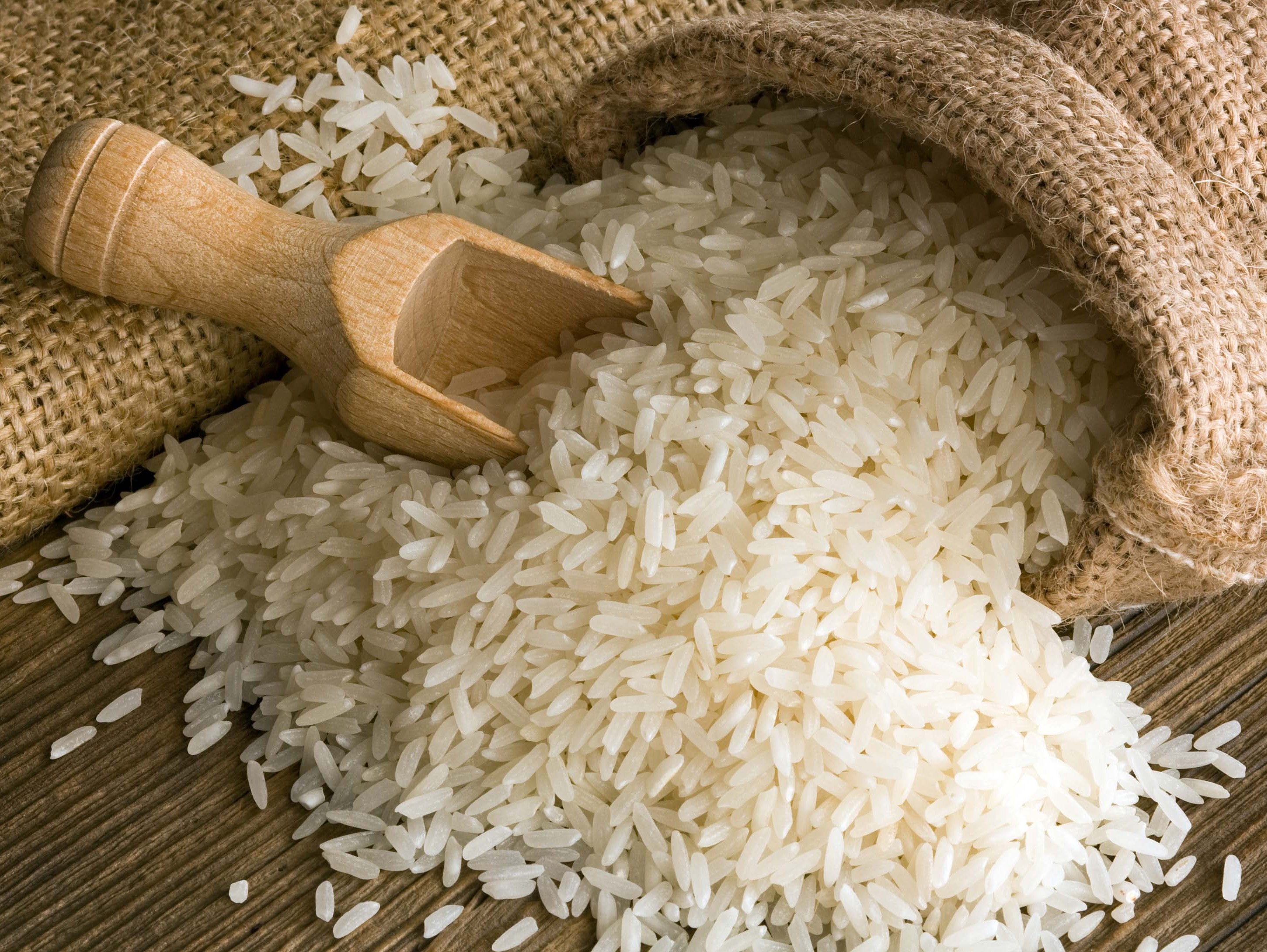 برنج کلات دیگر کشت نمی&zwnj;شود/ سفره ها خالی می شود از دانه بلندهای کلات