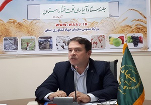 ۶۳ هزار و ۴۳۸ هزارهکتار از اراضی کشاورزی آذربایجان غربی به سیستم‌های آبیاری نوین تجهیز شد