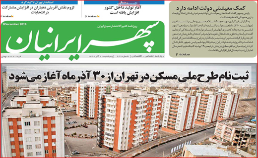 بلوط ها زیر تیغ تبر/ مراقب پیامک 