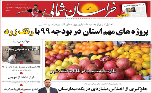 بلوط ها زیر تیغ تبر/ مراقب پیامک 