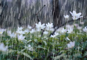 بارش باران پیش بینی هواشناسی برای استان سمنان