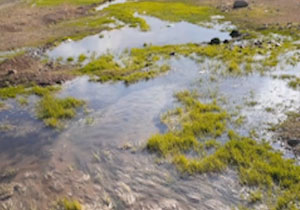 شکستگی لوله و هدررفت آب در روستای عبدالملکی + فیلم