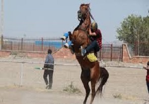 مسابقات پرش با اسب جام سرداران آذربایجان برگزار شد