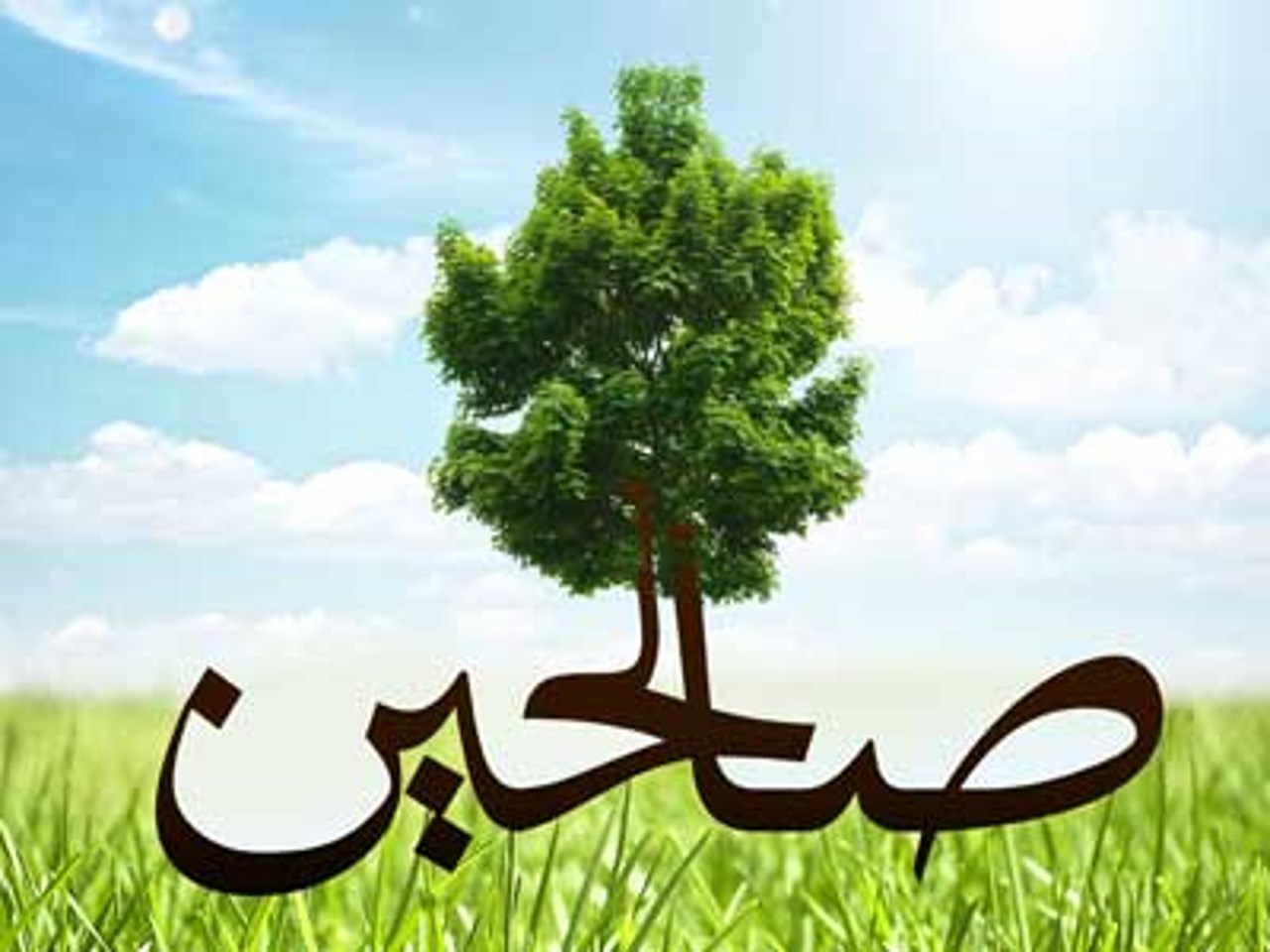حلقه‌های صالحین، ایده بسیج برای عمق بخشیدن به معنویت