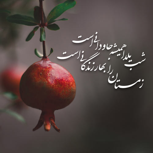 جدیدترین عکس&zwnj;نوشته&zwnj;ها به مناسبت بلندترین شب سال /// نمایه ندارد