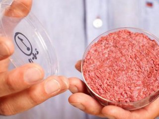 گوشت مصنوعی؛ انقلاب جدید پروتئینی