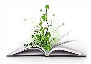طرح «نذر سپید» در اردبیل اجرا می‌شود