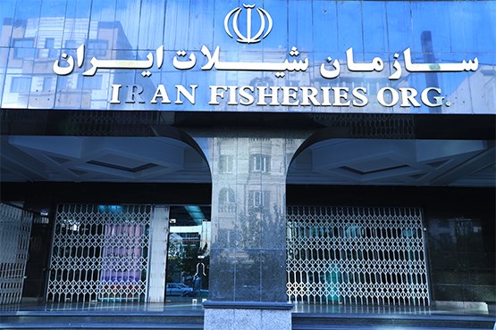 صفر تا صد ماجرای حضور کشتی&zwnj;های ترال چینی در جنوب کشور از زبان رئیس سازمان شیلات