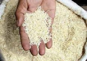 برنج مورد نیازلرستانی ها تا دو سال آینده در انبار‌ها ذخیره شده است