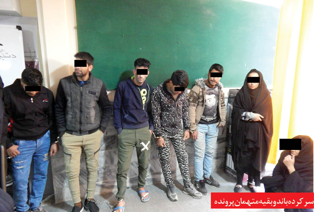 پیرزن سابقه دار سرکرده شبکه دزدان خانوادگی بود/ ۷۵ شاکی در پرونده سرقت&zwnj;های ۵ ثانیه ای!