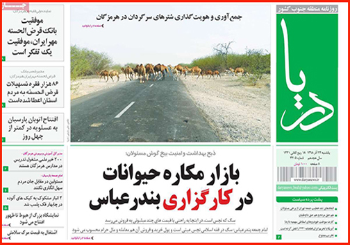 تامین اعتبار برای تکمیل دو خطه شدن راه آهن تهران- بندرعباس/ بازار مکاره حیوانات در کارگزاری بندرعباس