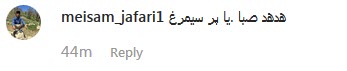 از هدهد تا