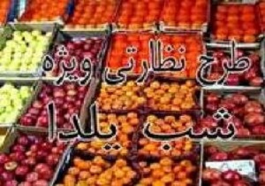 آغاز طرح نظارتی یلدا در خراسان جنوبی