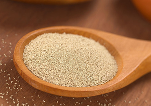 صادرات دو میلیون و ۵۰۰ هزار دلار خمیرمایه به خارج از کشور