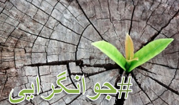 جوان گرایی امری که مهم است اما کافی نیست