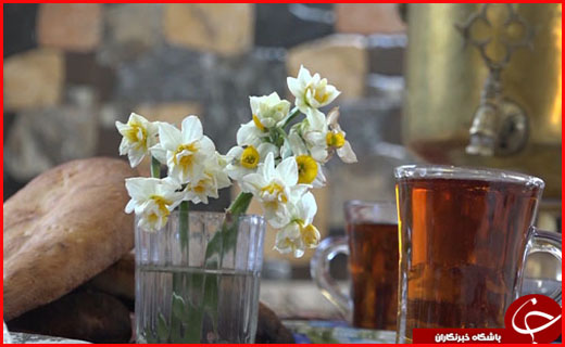 ثبت خاطرات خوش با سفر پاییزی به مازندران 