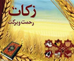 ۱۱ میلیارد ریال زکات در هریس جمع آوری شد