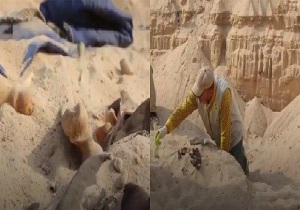 کشف گور دسته جمعی در «نجف» + فیلم