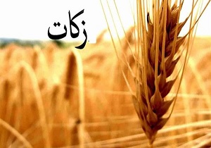 جمع آوری بیش از ۱۲ میلیارد تومان زکات در استان سمنان