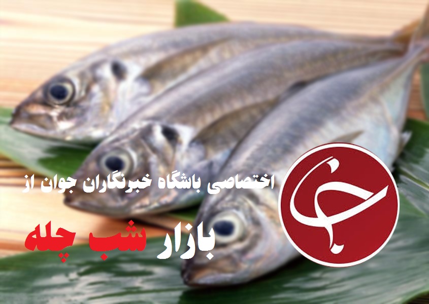 کمبودی در عرضه ماهی وجود ندارد/ نوسان قیمت ماهی از مزرعه تا بازار در سایه کمبود نظارت