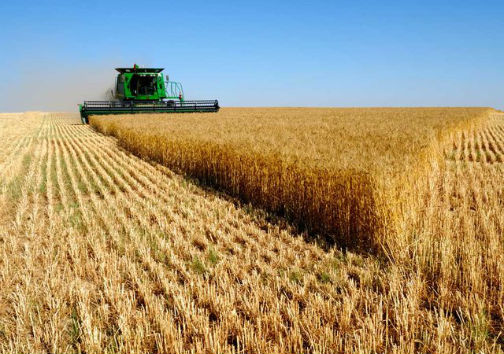 تخصیص بیش از ۱۱۱ میلیارد تومان برای زیرساخت‌های کشاورزی