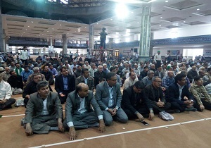 اهداء ۱۰۰ تخته فرش حرم رضوی به مصلی بیرجند