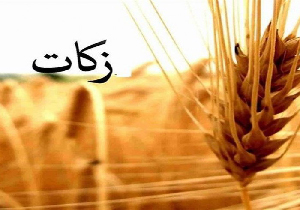 رتبه نخست مهاباد برای دهمین سال متوالی در پرداخت زکات